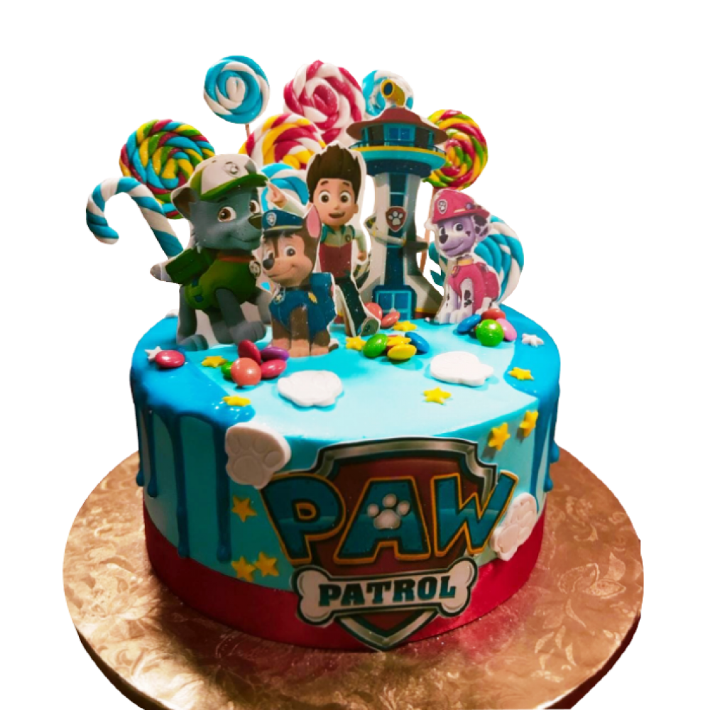 Paw Patrol Cake – 3